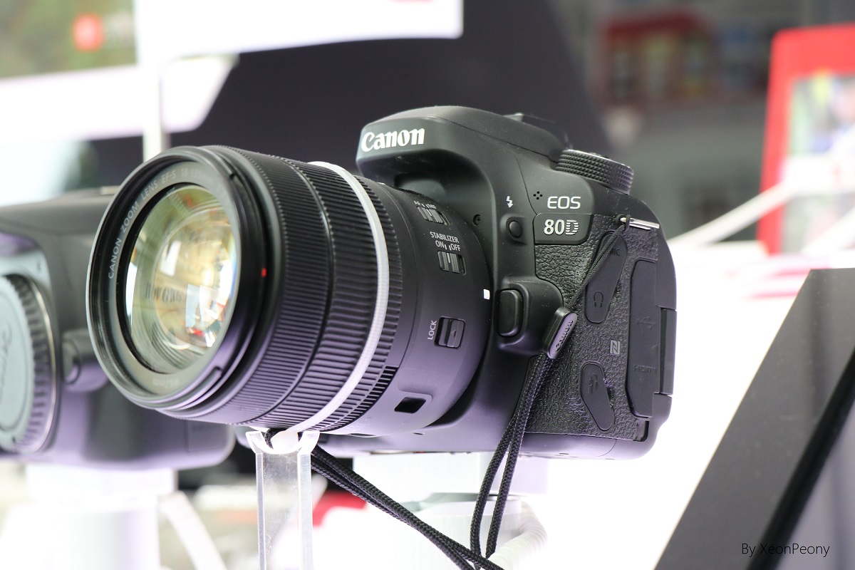 CANON EOS80D(18~135 IS USM) 实拍 CANON EOS80D(18~135 IS USM) 实拍