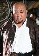 东陵大盗(2008年张多福执导电视剧)