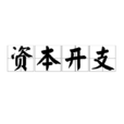 资本开支 资本开支