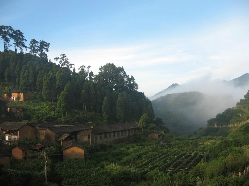 梅田村(广东省广州市白云区钟落潭镇下辖村) 梅田村(广东省广州市白云区钟落潭镇下辖村)
