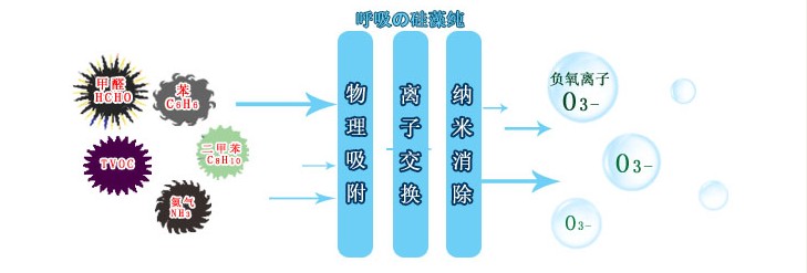硅藻纯 硅藻纯