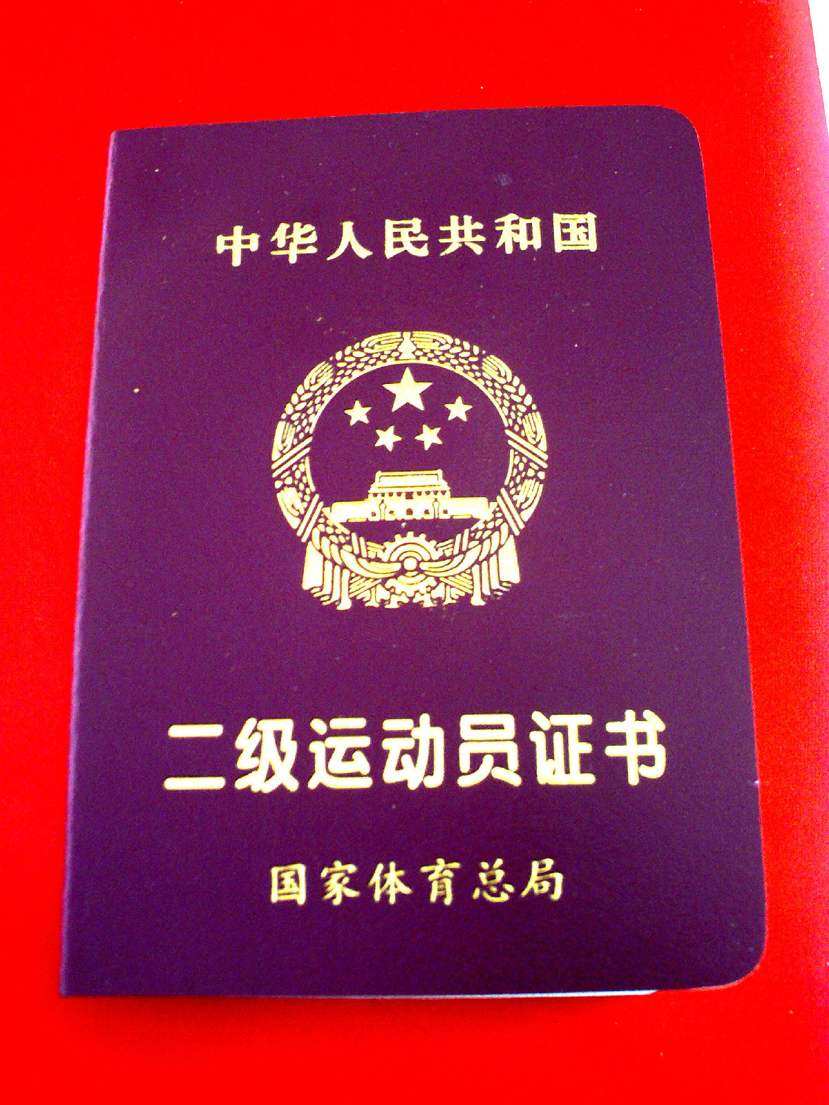 二级运动员 二级运动员