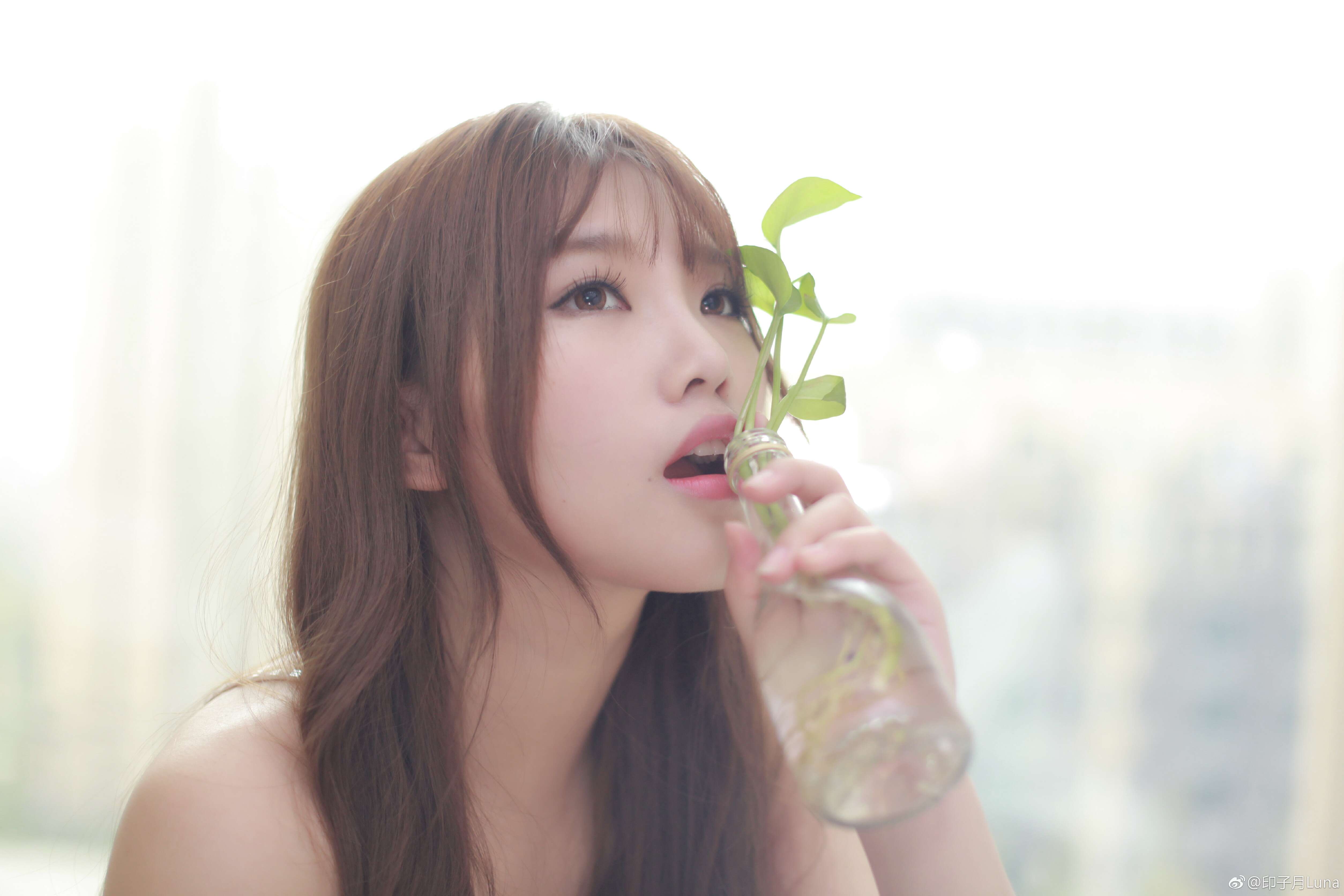 印子月 印子月