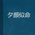 夕颜似命 夕颜似命