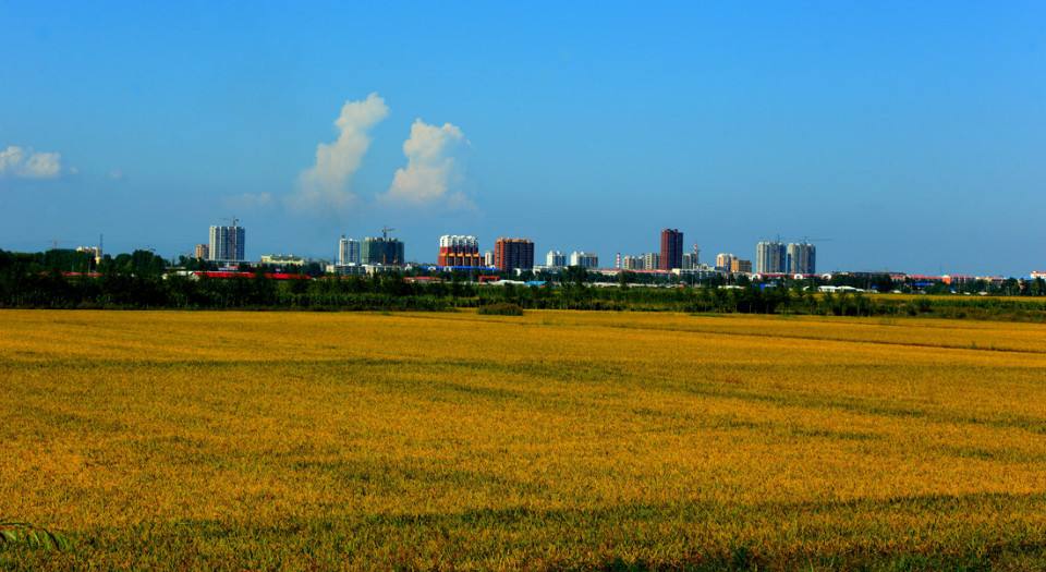 东北平原 东北平原