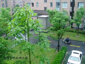 天气影响 天气影响
