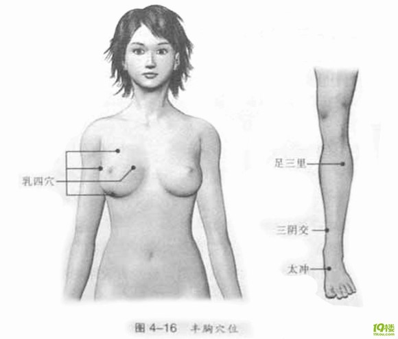 丰胸按摩 丰胸按摩