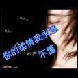你的柔情我永远不懂(陈琳推出专辑) 你的柔情我永远不懂(陈琳推出专辑)