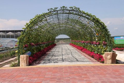 北大荒现代农业园 北大荒现代农业园