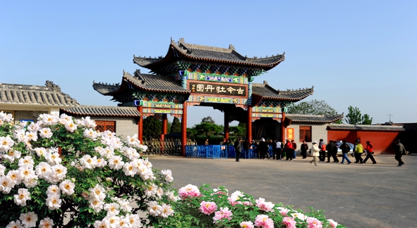 菏泽(山东菏泽)
