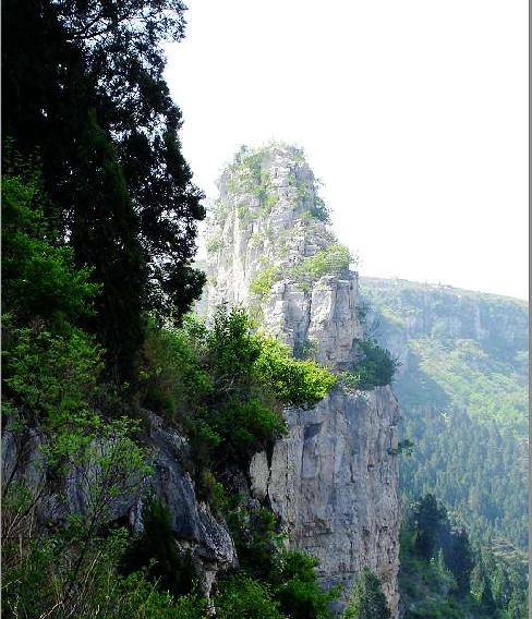 曾子山 曾子山
