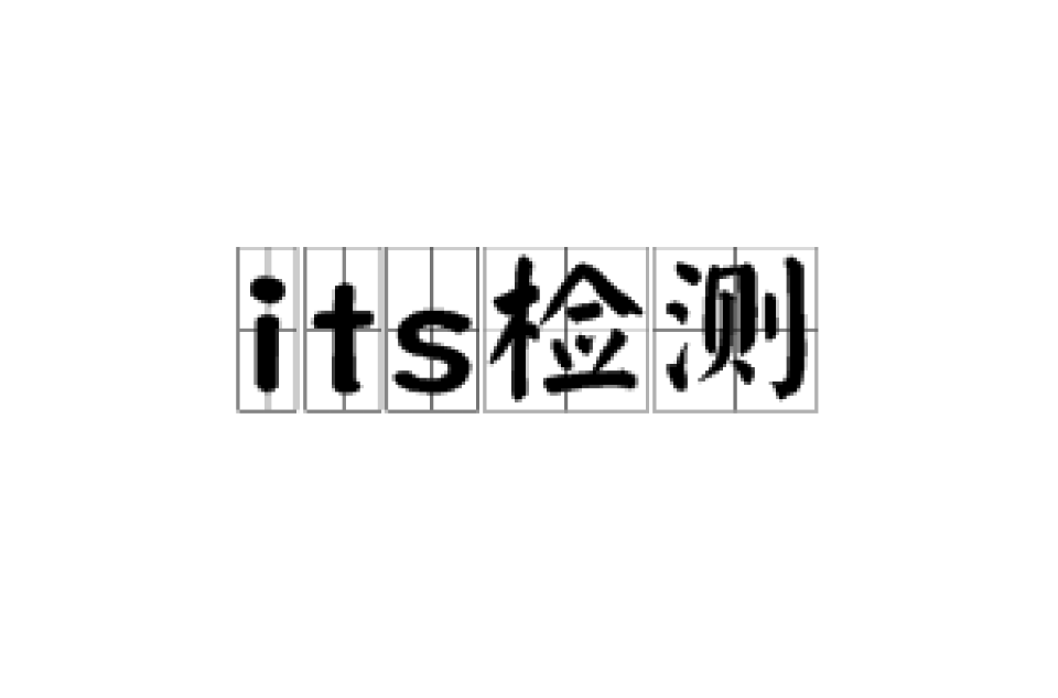 ITS检测 ITS检测