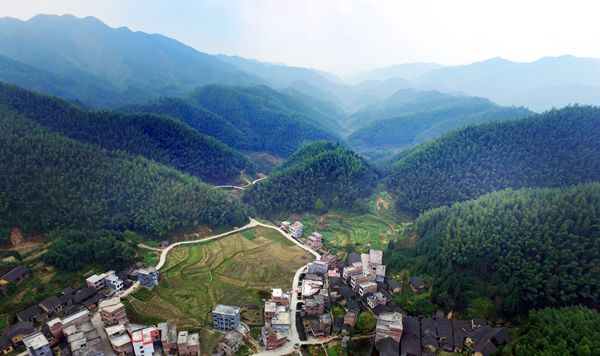 新田县 新田县