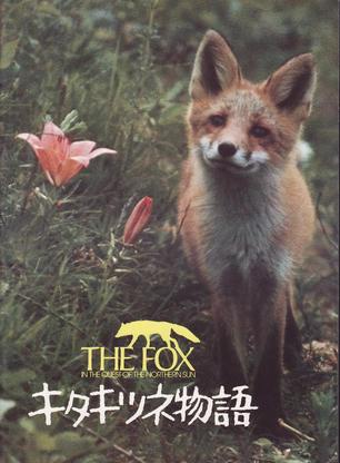 比尔·奈伊