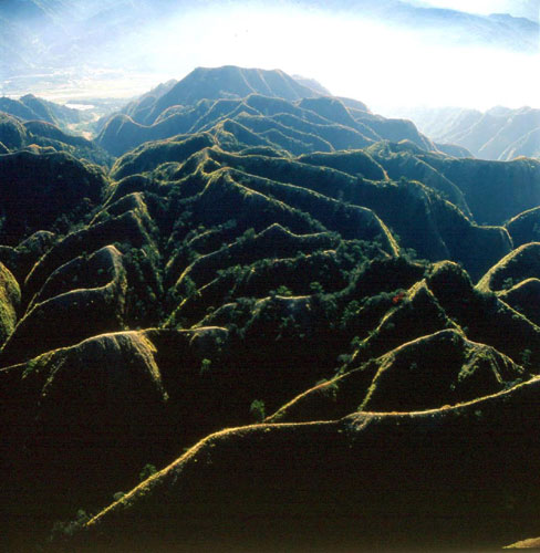 九九峰自然保留区 九九峰自然保留区