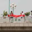 沈星桥 沈星桥