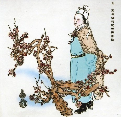 柳梦梅 柳梦梅