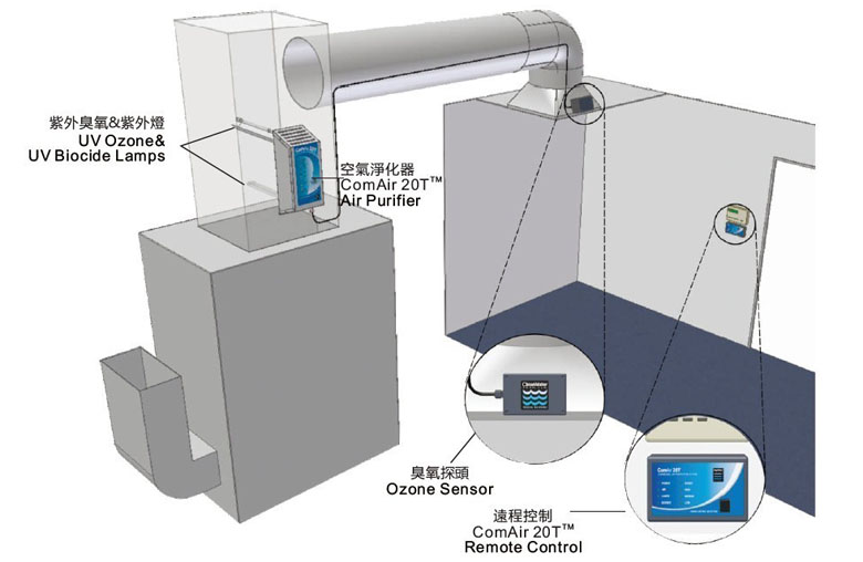 臭氧净化 臭氧净化