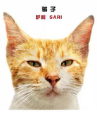 爱猫之城