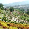 凤山风景区 凤山风景区
