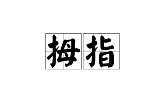 拇指(汉语拼音) 拇指(汉语拼音)