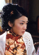 啼笑因缘(2004年袁立胡兵主演电视剧)