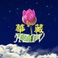 华藏卫视 华藏卫视