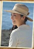 鸢(日本2013年佐藤健、内野圣阳主演电视剧)