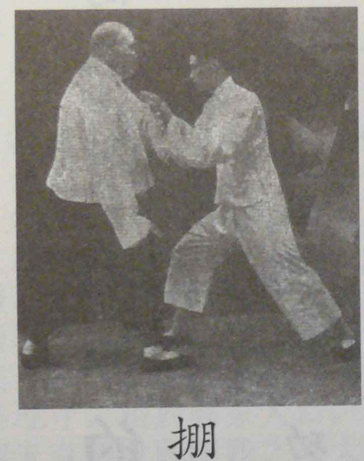 杨式太极推手 杨式太极推手
