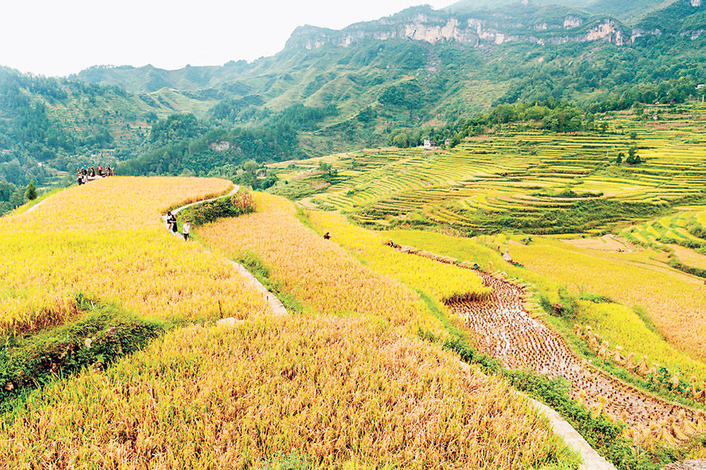 何家岩 何家岩