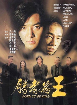 安雅(中国台湾女演员)