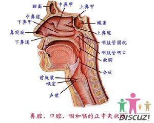 口腔 口腔