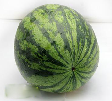 红虎西瓜