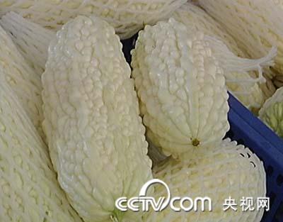 白苦瓜 白苦瓜
