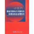 煤岩瓦斯动力灾害发生机理及综合治理技术 煤岩瓦斯动力灾害发生机理及综合治理技术