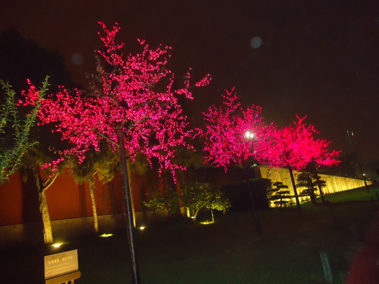 火树银花 火树银花