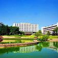 深圳大学文学院 深圳大学文学院
