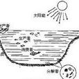 淡水生物学 淡水生物学