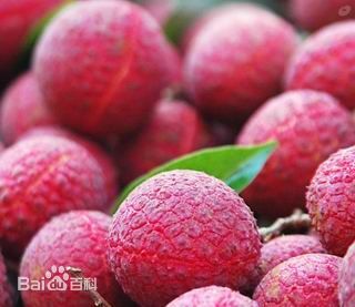 玉林荔枝狗肉节 玉林荔枝狗肉节