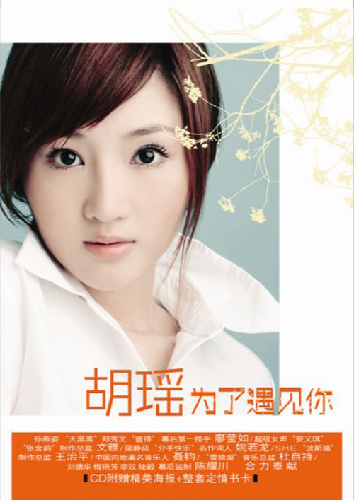 为了遇见你(张杰胡瑶的歌曲)