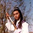 浣花洗剑录(1978年亚视版张国荣主演电视剧) 浣花洗剑录(1978年亚视版张国荣主演电视剧)
