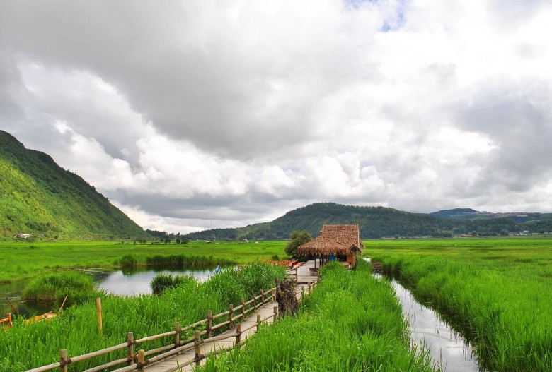 清水乡(云南省保山市腾冲市清水乡) 清水乡(云南省保山市腾冲市清水乡)