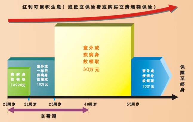 减额交清 减额交清