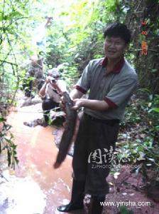 湖光镇神秘峡谷 湖光镇神秘峡谷