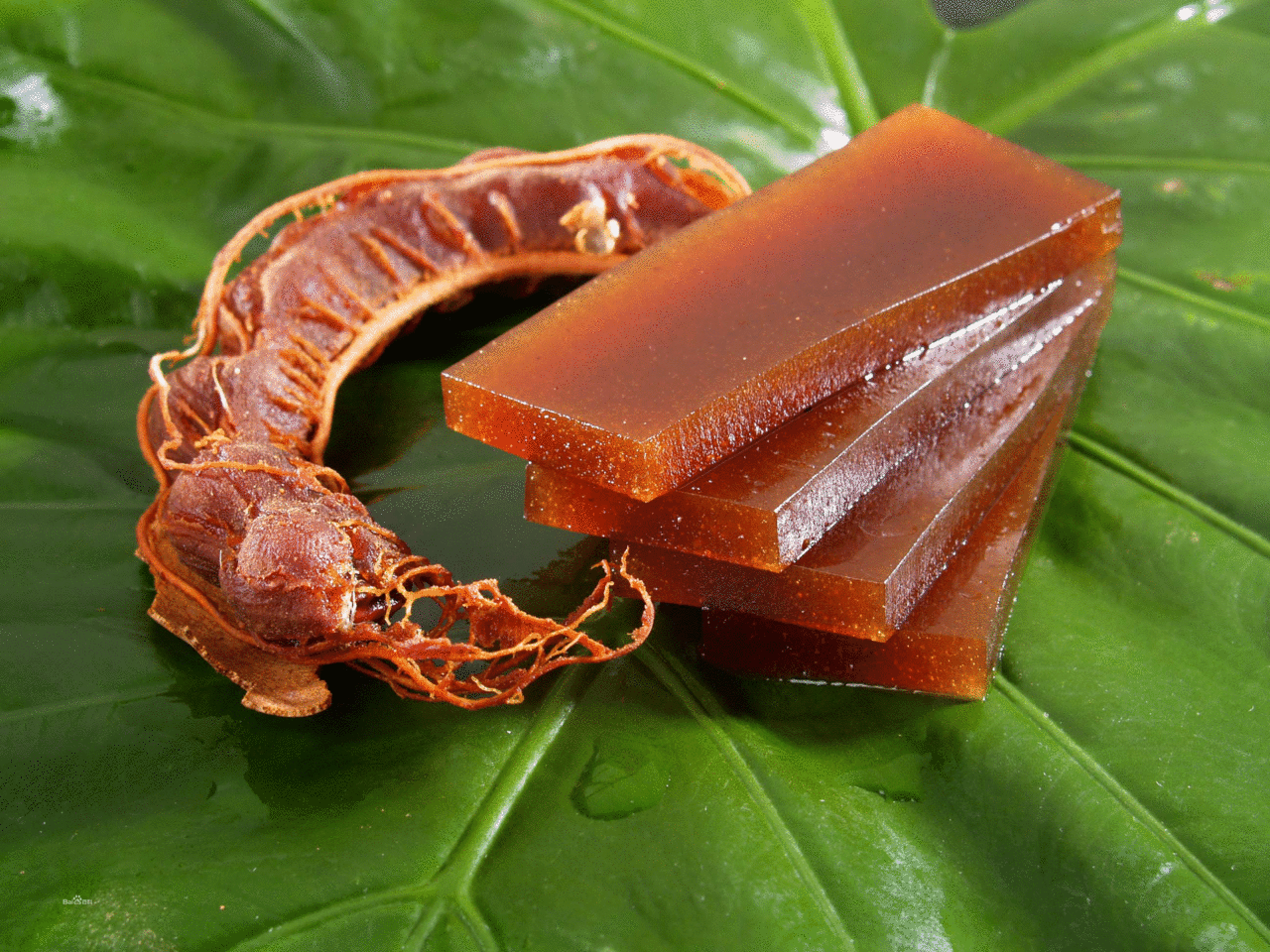 特产食品 特产食品