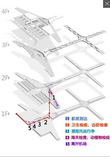 国际登机指南示意图 国际登机指南示意图