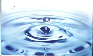 淡水资源 淡水资源