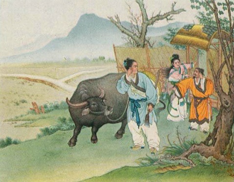 牛郎(词语) 牛郎(词语)