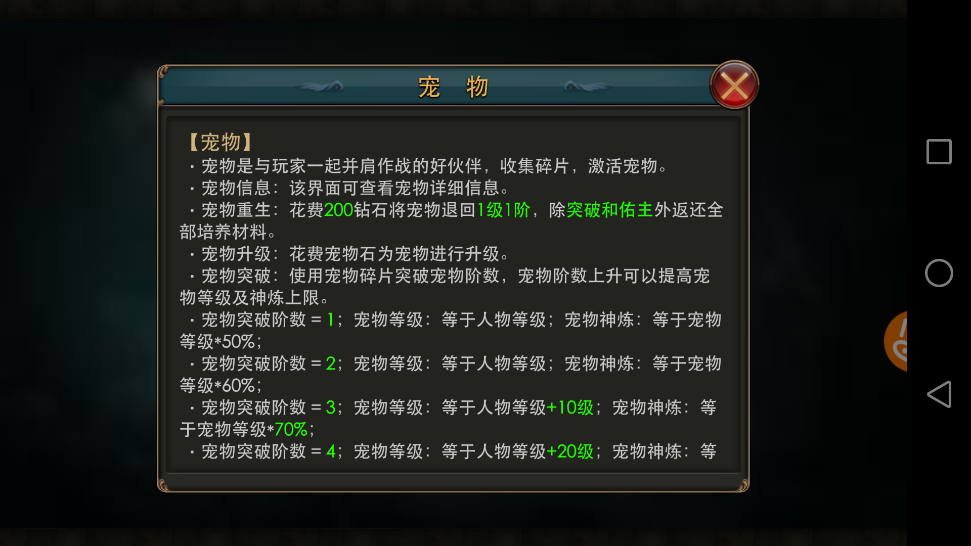 宠物