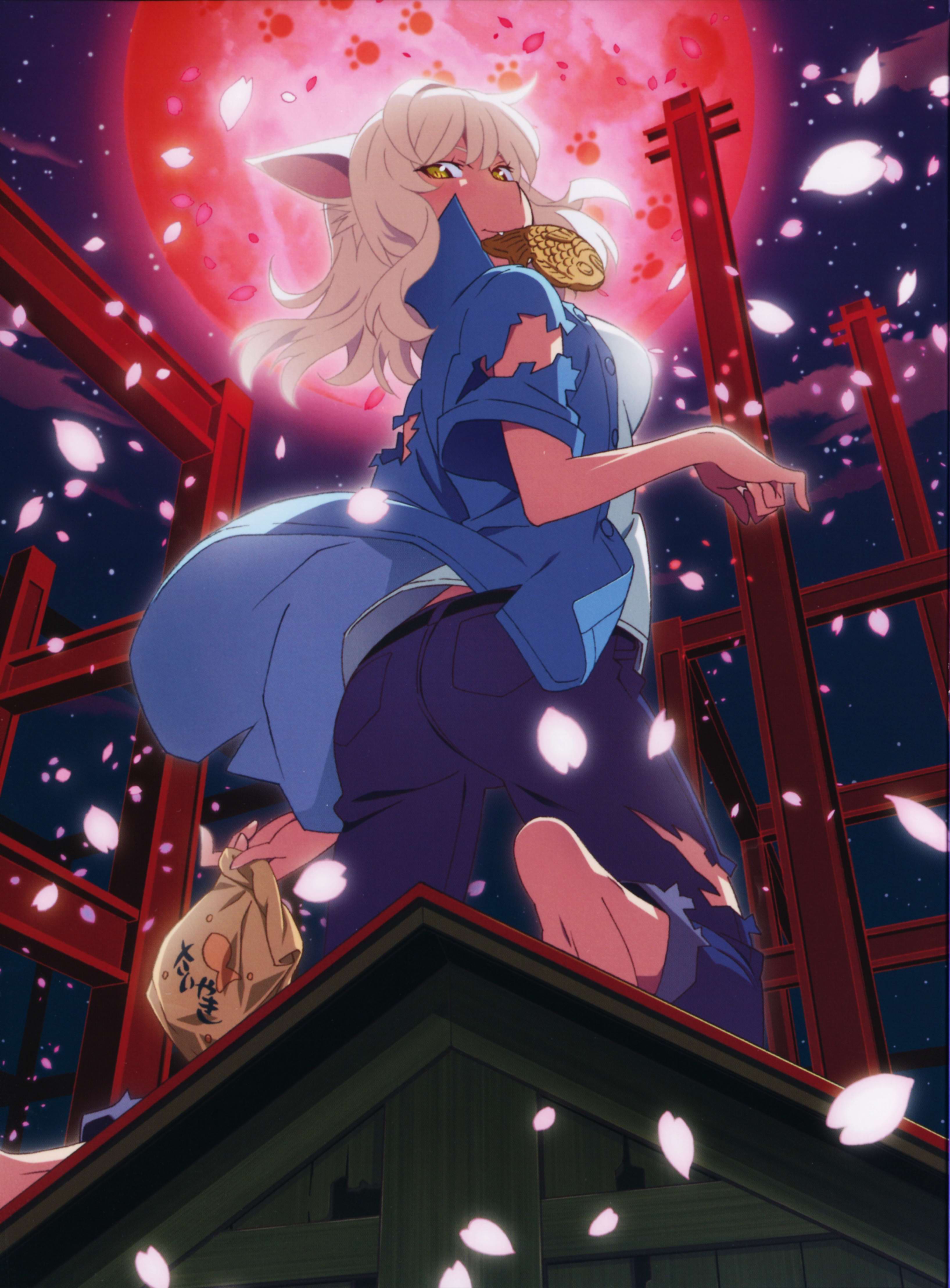 物语系列 2nd Season